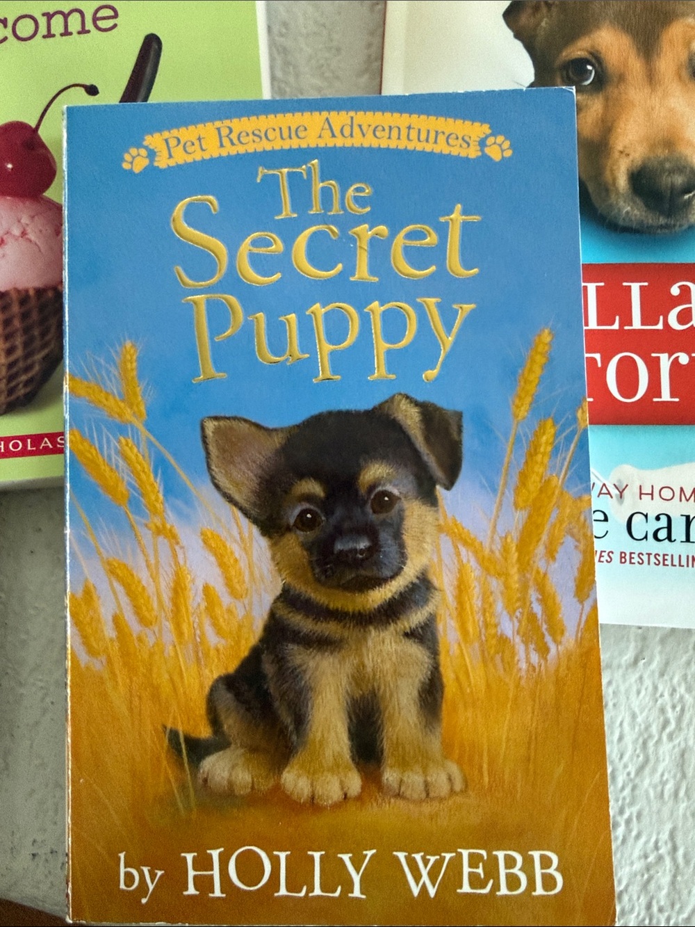 Assorted Books - Picture 3 of 6